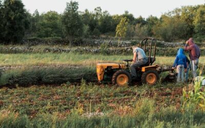 AUMENTATE LE SANZIONI PER ACCERTAMENTI DI LAVORO IN NERO