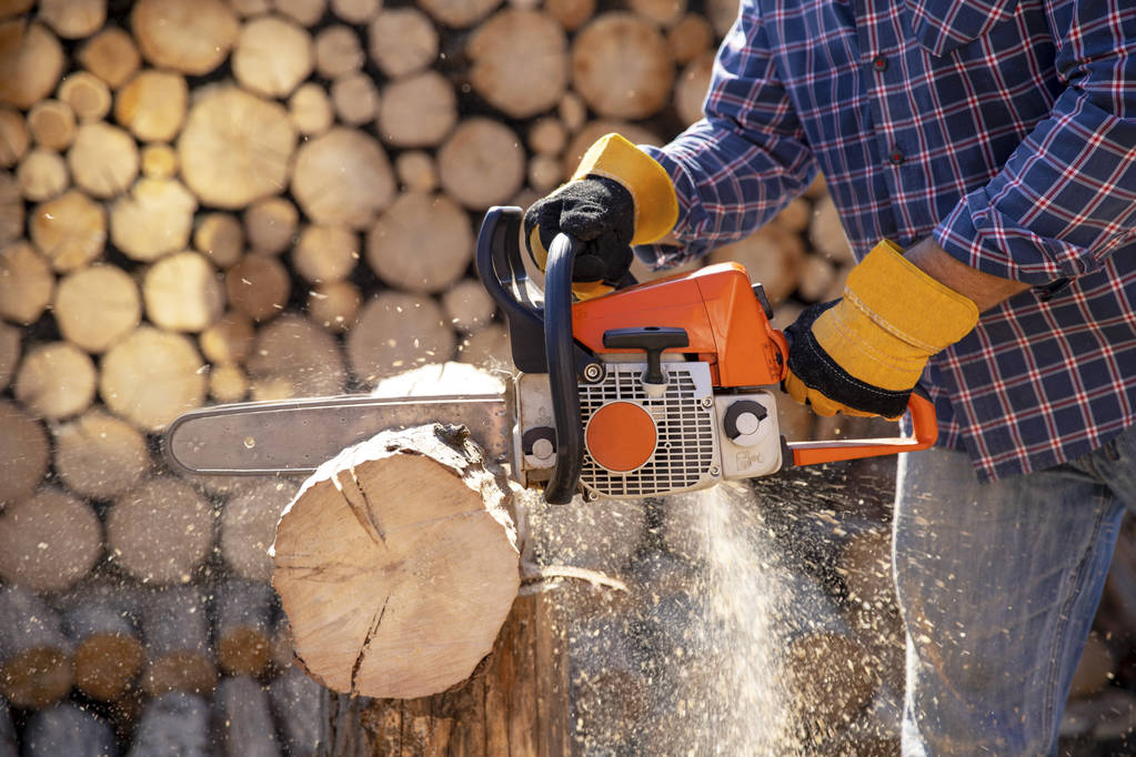 The worker works with a chainsaw. Chainsaw close up. Woodcutter saws tree with chainsaw on sawmill. Chainsaw in action cutting wood. Man cutting wood with saw, dust and movements. uso in sicurezza della motosega